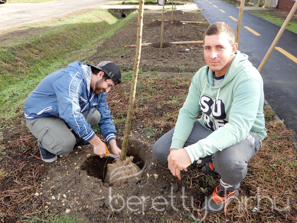 Közösségi faültetés Berettyóújfaluban 50
